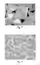 Fig. 06 - Production tool to make abrasive particles with grooves