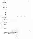 Fig. 09 - Pixel Array With Global Shutter