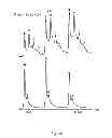 Fig. 03 - Detection of membrane protein-therapeutic agent complexes by mass spectrometry