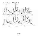 Fig. 08 - Detection of membrane protein-therapeutic agent complexes by mass spectrometry