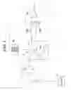 Fig. 06 - Radiographic image capturing apparatus and radiographic image capturing system