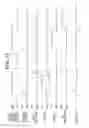 Fig. 12 - Radiographic image capturing apparatus and radiographic image capturing system