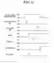 Fig. 13 - Radiographic image capturing apparatus and radiographic image capturing system