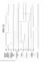 Fig. 14 - Radiographic image capturing apparatus and radiographic image capturing system
