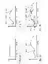 Fig. 13 - Illumination and displacement device for a projection exposure apparatus
