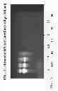 Fig. 03 - METHOD OF MAKING A FORMULATION FOR DEACTIVATING NUCLEIC ACIDS