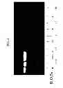 Fig. 05 - METHOD OF MAKING A FORMULATION FOR DEACTIVATING NUCLEIC ACIDS