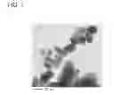 Fig. 02 - CaFtranslucent ceramics and manufacturing method of CaFtranslucent ceramics