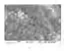 Fig. 04 - AUTO-THERMAL EVAPORATIVE LIQUID-PHASE SYNTHESIS METHOD FOR CATHODE MATERIAL FOR BATTERY