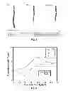 Fig. 07 - Microbial nanowires and methods of making and using