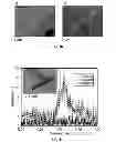 Fig. 08 - Microbial nanowires and methods of making and using