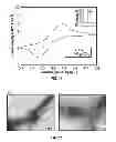 Fig. 10 - Microbial nanowires and methods of making and using