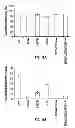Fig. 11 - Microbial nanowires and methods of making and using