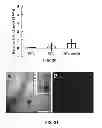 Fig. 15 - Microbial nanowires and methods of making and using