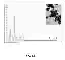 Fig. 16 - Microbial nanowires and methods of making and using