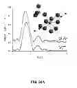 Fig. 29 - Microbial nanowires and methods of making and using