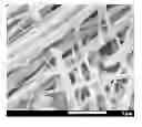 Fig. 01 - RAPID BIOLOGICAL SYNTHESIS PROCESS TO PRODUCE SEMICONDUCTING CHALCOGENIDE NANOSTRUCTURES FOR TRANSISTOR OR SOLAR CELL APPLICATIONS