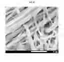 Fig. 05 - RAPID BIOLOGICAL SYNTHESIS PROCESS TO PRODUCE SEMICONDUCTING CHALCOGENIDE NANOSTRUCTURES FOR TRANSISTOR OR SOLAR CELL APPLICATIONS