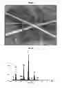 Fig. 06 - RAPID BIOLOGICAL SYNTHESIS PROCESS TO PRODUCE SEMICONDUCTING CHALCOGENIDE NANOSTRUCTURES FOR TRANSISTOR OR SOLAR CELL APPLICATIONS