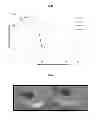 Fig. 13 - RAPID BIOLOGICAL SYNTHESIS PROCESS TO PRODUCE SEMICONDUCTING CHALCOGENIDE NANOSTRUCTURES FOR TRANSISTOR OR SOLAR CELL APPLICATIONS
