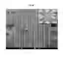 Fig. 16 - RAPID BIOLOGICAL SYNTHESIS PROCESS TO PRODUCE SEMICONDUCTING CHALCOGENIDE NANOSTRUCTURES FOR TRANSISTOR OR SOLAR CELL APPLICATIONS