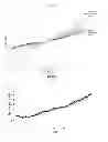 Fig. 18 - RAPID BIOLOGICAL SYNTHESIS PROCESS TO PRODUCE SEMICONDUCTING CHALCOGENIDE NANOSTRUCTURES FOR TRANSISTOR OR SOLAR CELL APPLICATIONS