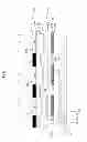 Fig. 02 - Organic light emitting display device having electrodes of subpixels with different thicknesses and method of manufacturing the same