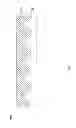 Fig. 06 - A LIGHT EMITTING DEVICE COMPRISES A SAPPHIRE SUBSTRATE HAVING A PLURALITY OF OPTIMIZED CONES ON ITS SURFACE