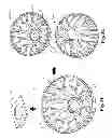 Fig. 11 - LED back end assembly and method of manufacturing