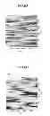 Fig. 07 - Substrate for epitaxial growth, and crystal laminate structure