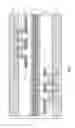 Fig. 06 - Bonded structure with enhanced adhesion strength