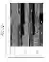 Fig. 17 - METHOD FOR FORMING SINTERED SILVER COATING FILM, BAKING APPARATUS, AND SEMICONDUCTOR DEVICE