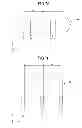 Fig. 08 - Semiconductor apparatus having signal and ground terminals arranged on vertically adjacent wiring substrates