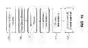 Fig. 13 - MULTI-LAYER MICRO-WIRE STRUCTURE