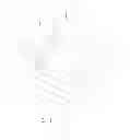 Fig. 06 - Disposable dental valve device