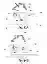 Fig. 14 - Door lock assembly for a dwelling