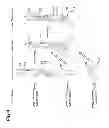 Fig. 05 - Method of manufacturing vehicle body side structure and vehicle body side structure