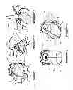 Fig. 02 - Infant seat cover