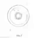 Fig. 04 - Non frictional wheel enhancing assembly