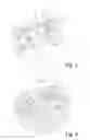 Fig. 04 - Rotor for electric machine
