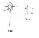 Fig. 11 - High-pressure discharge lamp having an ignition aid