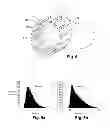 Fig. 04 - High frequency multiple-channel antenna, particularly for a nuclear magnetic resonance imaging device