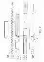 Fig. 03 - Clock circuit for a microprocessor