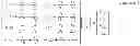 Fig. 02 - System and method for measuring individual force in multi-object sensing