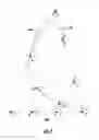 Fig. 07 - Staged camera traversal for three dimensional environment