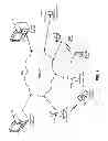 Fig. 02 - Directional and X-ray view techniques for navigation using a mobile device