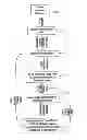 Fig. 01 - Imaging system and method for use in surgical and interventional medical procedures