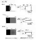 Fig. 08 - SURVEILLANCE DEVICE AND CONTROL METHOD OF THE SAME