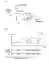 Fig. 07 - Information processing device, information processing method, and program for reduction of noise effects on a reference point