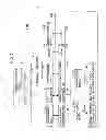Fig. 02 - Image forming apparatus, method, and computer-readable storage medium for forming images on recording media such as paper having different sizes